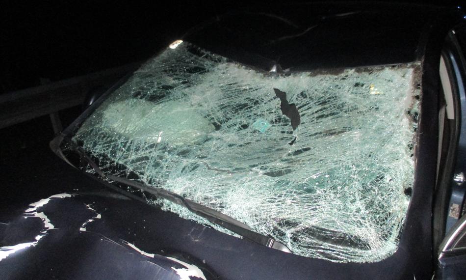 2017-7-10-817Srážka s    losem 1    CÚ pro Jčk červen 2017.JPG